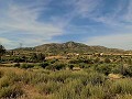 Maison de campagne de 3 chambres et dépôt de stockage à 10 minutes à pied de la ville de Barinas in Spanish Fincas