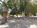 Belle Finca Spacieuse avec 9 Chambres, 3 Salles de Bain et Grande Piscine in Spanish Fincas