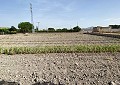 Enorme villa met 5 slaapkamers en 3 badkamers met stallen in Spanish Fincas