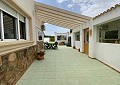 3 Bed 3 Bath Stunning Villa in Sax in Spanish Fincas