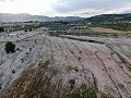 Building plots between Sax and Salinas in Spanish Fincas