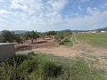 Terrain à bâtir à Salinas in Spanish Fincas