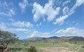 Terrain à bâtir à Salinas in Spanish Fincas