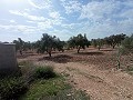 Terrain à bâtir à Salinas in Spanish Fincas