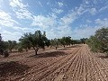 Terrain à bâtir à Salinas in Spanish Fincas