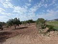 Bouwgrond in Salinas in Spanish Fincas