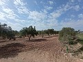 Bouwgrond in Salinas in Spanish Fincas