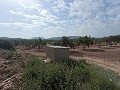 Terrain à bâtir à Salinas in Spanish Fincas