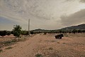 Landhaus mit 3 Schlafzimmern auf einem großen Grundstück in Spanish Fincas