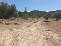 Terrain à bâtir à Biar in Spanish Fincas