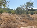 Terrain à bâtir à Biar in Spanish Fincas