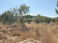 Terrain à bâtir à Biar in Spanish Fincas