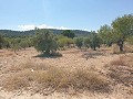 Terrain à bâtir à Biar in Spanish Fincas