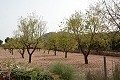 Oude finca volledig gerenoveerd met zwembad en originele bodega in Spanish Fincas