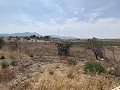 Belle finca rénovée avec piscine in Spanish Fincas