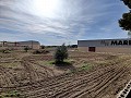 Landhaus in Novelda - Wiederverkauf in Spanish Fincas