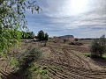 Landhuis in Novelda - Wederverkoop in Spanish Fincas