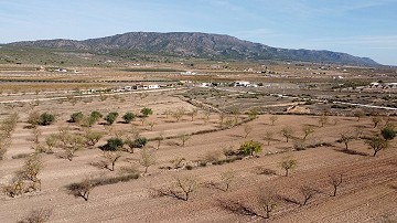 Building plot of land near Pinoso, only for new build villa