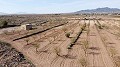 Terreno en Pinoso - Reventa in Spanish Fincas