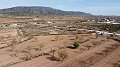 Land in Pinoso - Wederverkoop in Spanish Fincas