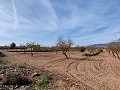 Building plot of land near Pinoso, only for new build villa in Spanish Fincas