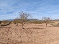 Land in Pinoso - Wiederverkauf in Spanish Fincas