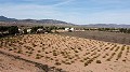 Building plot of land only for new build, in Paredon, Pinoso in Spanish Fincas