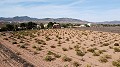 Parcela de terreno edificable solo para obra nueva, en Paredon, Pinoso in Spanish Fincas