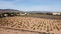 Building plot of land only for new build, in Paredon, Pinoso in Spanish Fincas