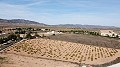 Building plot of land only for new build, in Paredon, Pinoso in Spanish Fincas