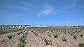 Terreno edificable con casita in Spanish Fincas