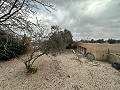 Atemberaubendes Landhaus in Yecla in Spanish Fincas