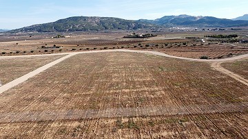 Baugrundstück bei Pinoso mit herrlicher Aussicht, nur für Neubauvilla