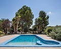 Stunning villa in Monovar in Spanish Fincas