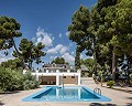 Stunning villa in Monovar in Spanish Fincas