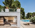 Stunning villa in Monovar in Spanish Fincas