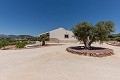 Belle villa prête à emménager avec maison d'hôtes et piscine in Spanish Fincas