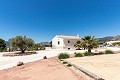 Belle villa prête à emménager avec maison d'hôtes et piscine in Spanish Fincas