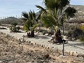 Hermosa villa pequeña con magníficas vistas en las afueras de La Romana in Spanish Fincas