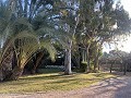 Impresionante villa de 5 dormitorios y 3 baños con piscina y cancha de tenis. in Spanish Fincas