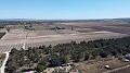 Land in Elche - Wederverkoop in Spanish Fincas