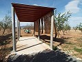 Villa moderne de 3 chambres à pied de la ville avec maisons d'hôtes in Spanish Fincas