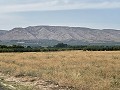 Maison de Campagne Individuelle à Biar in Spanish Fincas