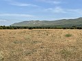 Freistehendes Landhaus in Biar in Spanish Fincas