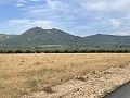 Maison de Campagne Individuelle à Biar in Spanish Fincas