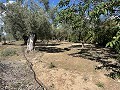 Maison de Campagne Individuelle à Biar in Spanish Fincas