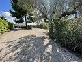 Maison de Campagne Individuelle à Biar in Spanish Fincas