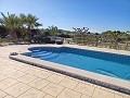 Detached Villa in Aspe in Spanish Fincas