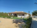 Detached Villa in Aspe in Spanish Fincas