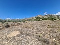 16,200m2 of land in Sax - Santa Eulalia in Spanish Fincas